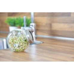 Organic Sprouting Pot - Salade Mix BIO -Gardena Verkoopwinkel 1647946862 3 600