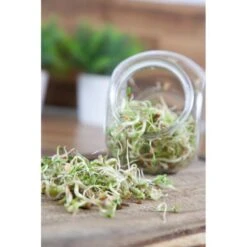 Organic Sprouting Pot - Salade Mix BIO -Gardena Verkoopwinkel 1647946862 4 600