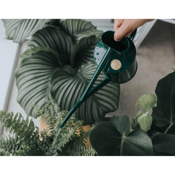 Haws Kamerplantengieter The Fazeley Flow 1 L - Groen 3 Haws Kamerplantengieter The Fazeley Flow 1 L - Groen - Afbeelding 3