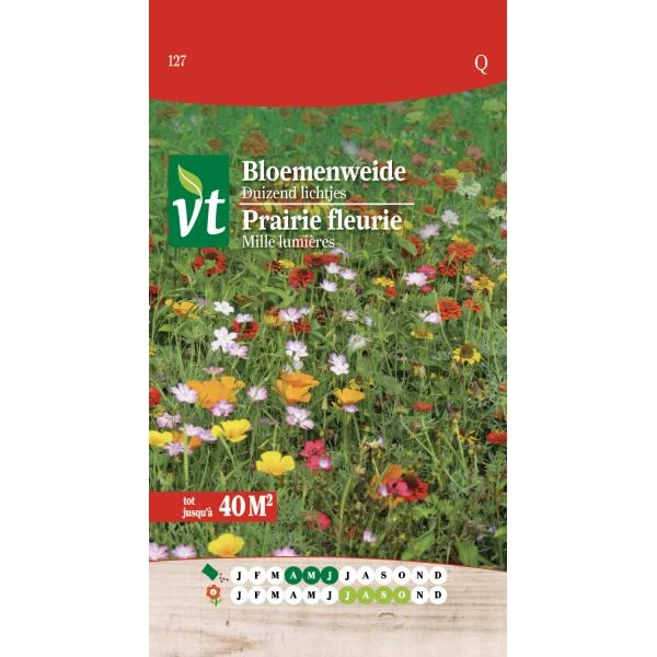 Bloemenweide Duizend Lichtjes - Tot 40 M² 1 Bloemenweide Duizend Lichtjes - Tot 40 M²