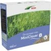 DCM Graszaad Met Miniclover - 100 M²