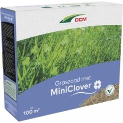 DCM Graszaad Met Miniclover - 100 M²