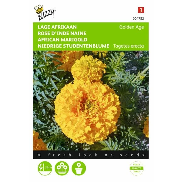 Afrikaan Golden Age - Tagetes Erecta 1 Afrikaan Golden Age - Tagetes Erecta