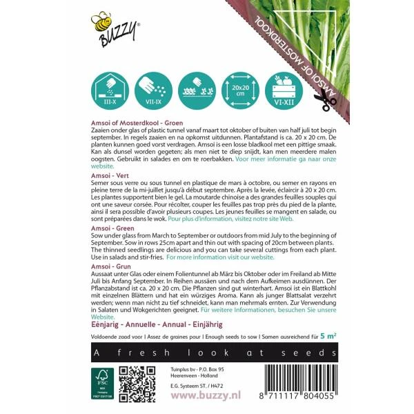 Amsoi Mung Choi Groen - Brassica Juncea Var. Rugosa 2 Amsoi Mung Choi Groen - Brassica Juncea Var. Rugosa - Afbeelding 2