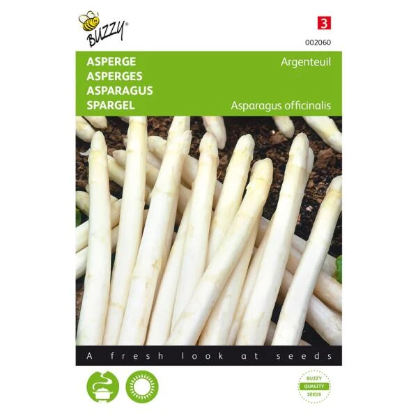 Asperges Argenteuil - Asparagus Officinalis 1 Asperges Argenteuil - Asparagus Officinalis