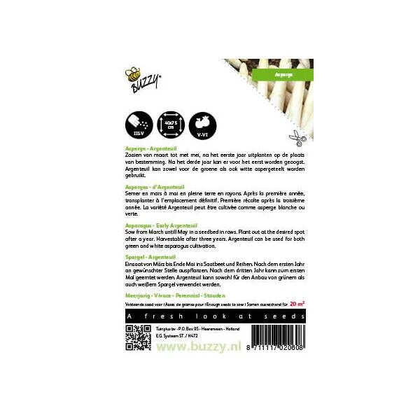Asperges Argenteuil - Asparagus Officinalis 2 Asperges Argenteuil - Asparagus Officinalis - Afbeelding 2
