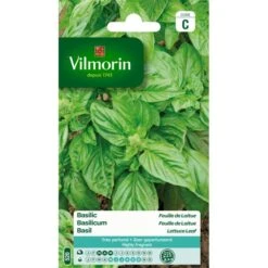 Basilicum Feuille De Laitue - Ocimum Basilicum