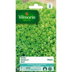 Basilicum Pesto - Ocimum Basilicum