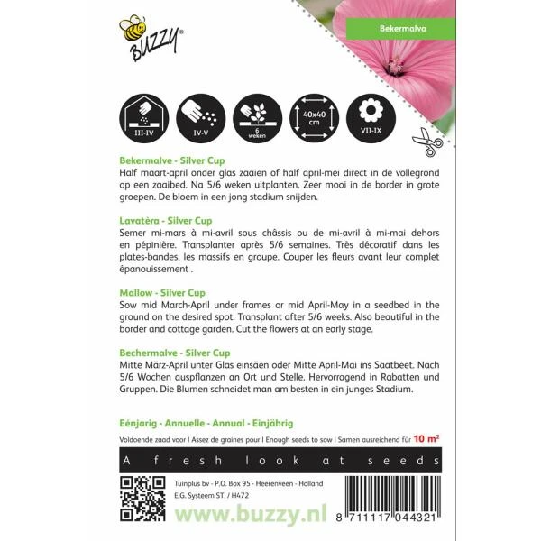 Bekermalva Silver Cup - Lavatera Trimestris 2 Bekermalva Silver Cup - Lavatera Trimestris - Afbeelding 2