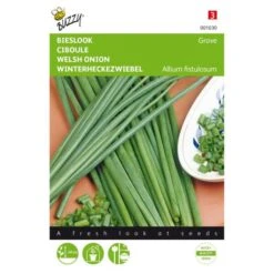 Bieslook Grove - Allium Fistulosum