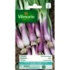 Bieslook Rode - Allium Fistulosum