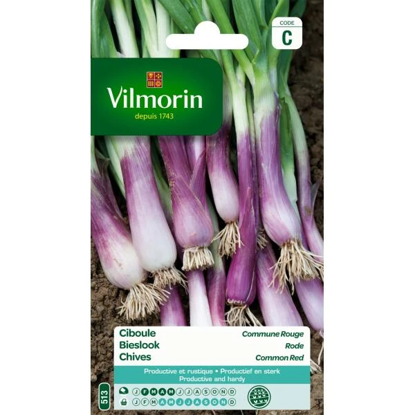 Bieslook Rode - Allium Fistulosum 1 Bieslook Rode - Allium Fistulosum