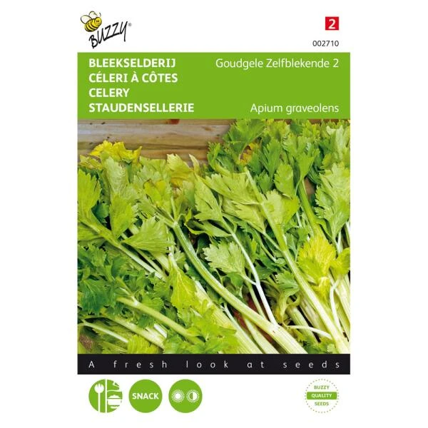 Bleekselderie Goudgele Zelfblekende - Apium Graveolens 1 Bleekselderie Goudgele Zelfblekende - Apium Graveolens