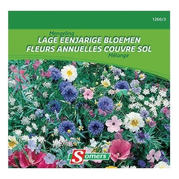 Bloemenmix - Laag éénjarig 20 M² 1 Bloemenmix - Laag éénjarig 20 M²
