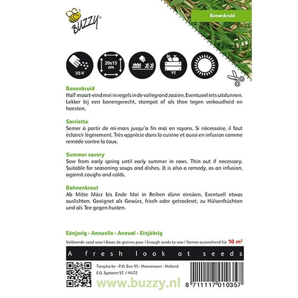 Bonenkruid Eenjarig - Satureja Hortensis 2 Bonenkruid Eenjarig - Satureja Hortensis - Afbeelding 2