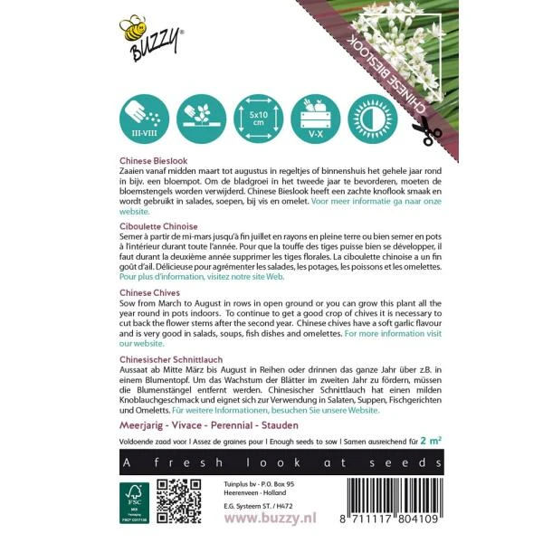 Chinese Bieslook - Allium Tuberosum 2 Chinese Bieslook - Allium Tuberosum - Afbeelding 2