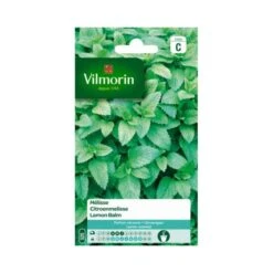 Citroenmelisse - Melissa Officinalis