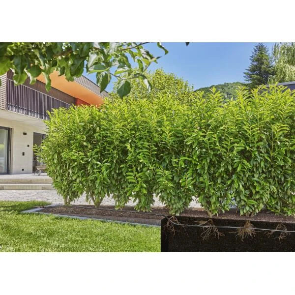 Gardena Micro-Drip-Bewatering Heggen/struiken Set - 50 M 3 Gardena Micro-Drip-Bewatering Heggen/struiken Set - 50 M - Afbeelding 3