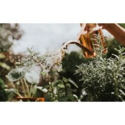 Haws Gieter 1 L - Koper -Gardena Verkoopwinkel gieter haws 1 l koper 1659089480 2 600