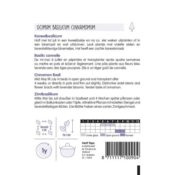Kaneelbasilicum - Ocimum Basilicum Cinamonette 2 Kaneelbasilicum - Ocimum Basilicum Cinamonette - Afbeelding 2