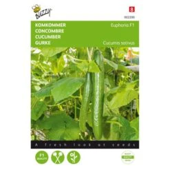 Komkommer Euphoria F1 Hybride Cucumis Sativus