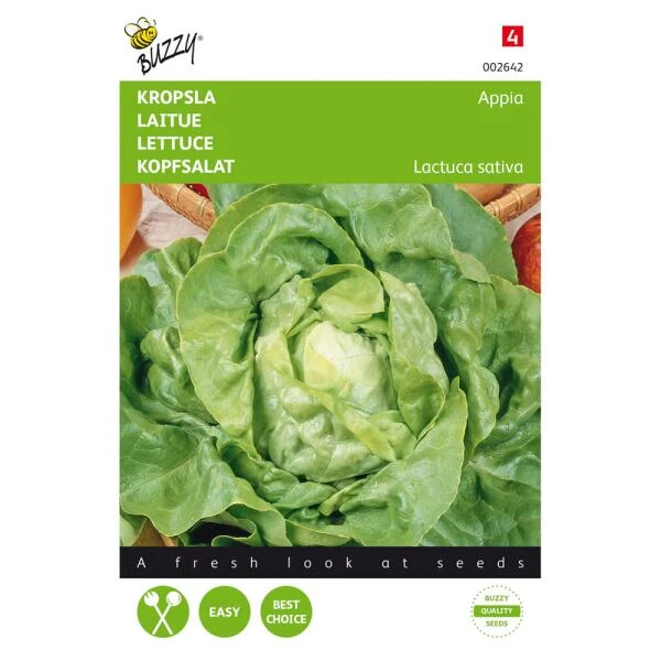 Kropsla Appia - Lactuca Sativa 1 Kropsla Appia - Lactuca Sativa