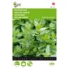 Kruizemunt - Mentha Spicata