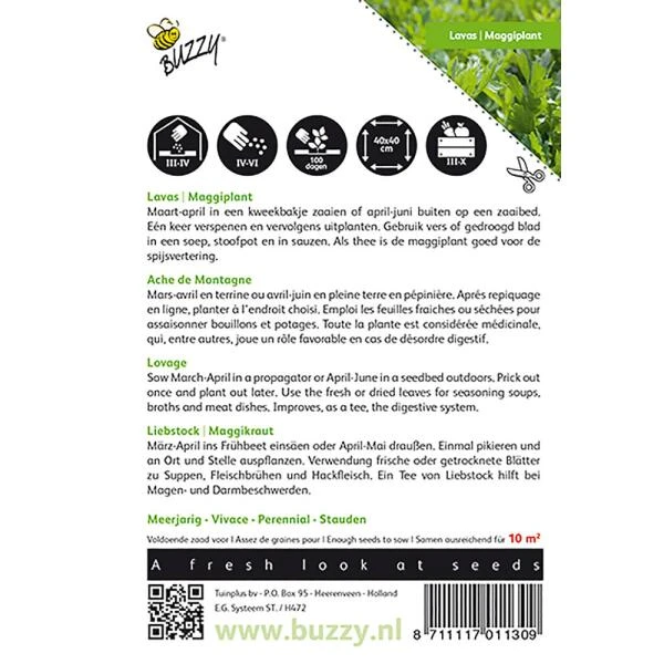Lavas Of Maggikruid - Levisticum Officinalis 2 Lavas Of Maggikruid - Levisticum Officinalis - Afbeelding 2