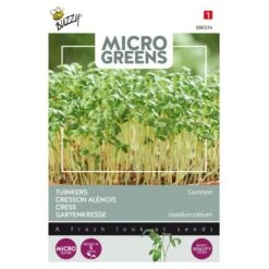 Microgreens Gewone Tuinkers