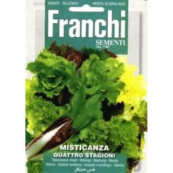 Misticanza 4 Stagioni - Salade Mix 4 Seizoenen