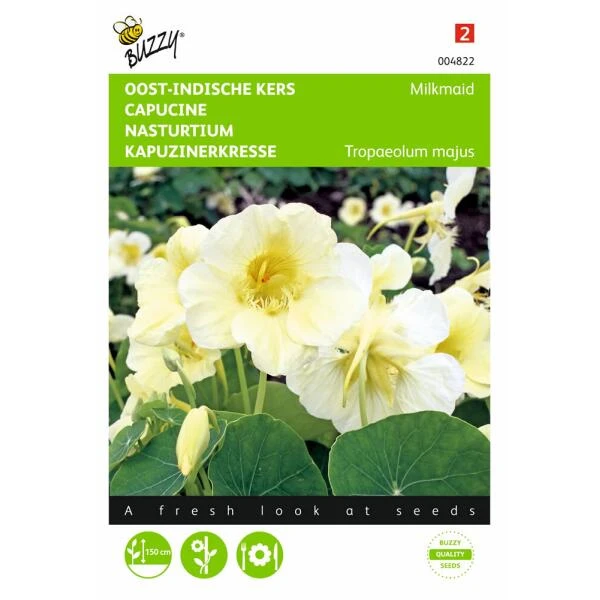 Oost Indische Kers Milkmaid 1 Oost Indische Kers Milkmaid