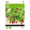 Peper Biquinho - Capsicum Chinense