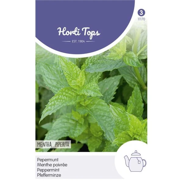 Pepermunt - Mentha Piperita 1 Pepermunt - Mentha Piperita