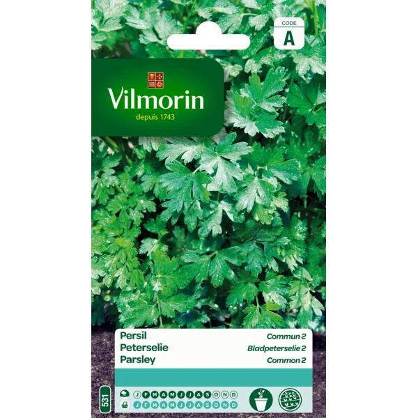 Peterselie Bladpeterselie 2 1 Peterselie Bladpeterselie 2