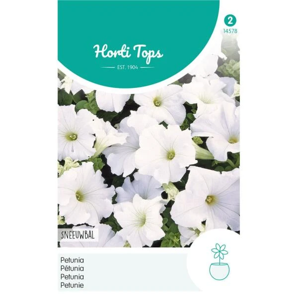 Petunia Sneeuwbal - Petunia Nana Compacta 1 Petunia Sneeuwbal - Petunia Nana Compacta
