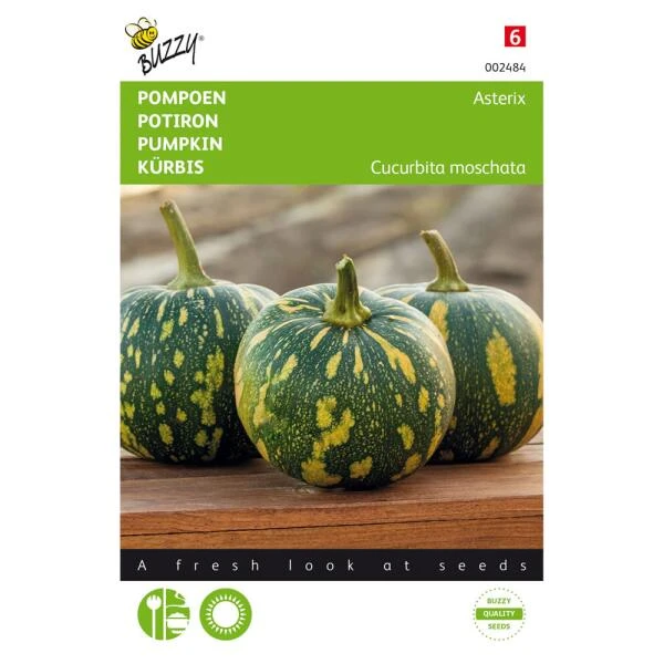 Pompoen Asterix (Panterprint) 1 Pompoen Asterix (Panterprint)