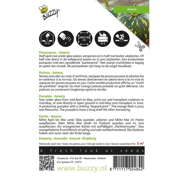 Pompoen Asterix (Panterprint) 2 Pompoen Asterix (Panterprint) - Afbeelding 2