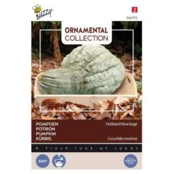 Pompoen Kalebas Large Blue Hubbard