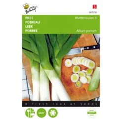 Prei Winterreuzen - Allium Porrum