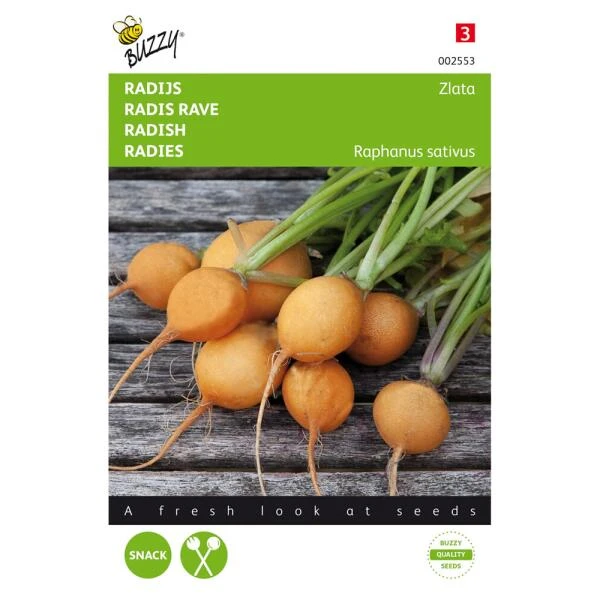 Radijs Zlata - Gele Radijs 1 Radijs Zlata - Gele Radijs