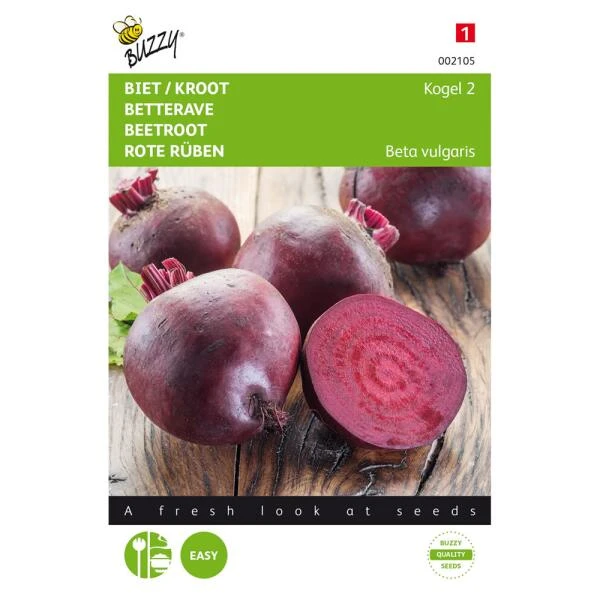 Rode Bieten Kogel 2 - Beta Vulgaris 1 Rode Bieten Kogel 2 - Beta Vulgaris