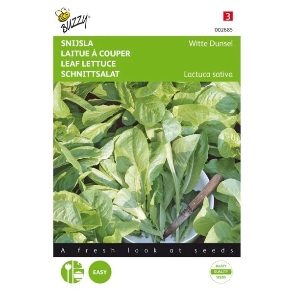 Snijsla Witte Dunsel - Lactuca Sativa 1 Snijsla Witte Dunsel - Lactuca Sativa
