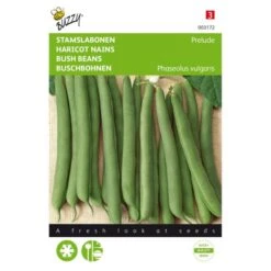 Stamslabonen (Prelude 30 G)