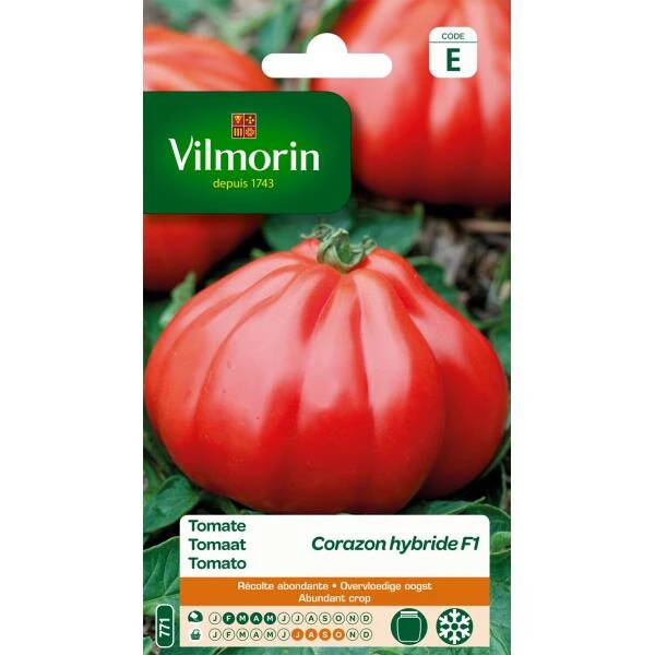 Tomaat Coeur Boeuf Corazon 1 Tomaat Coeur Boeuf Corazon
