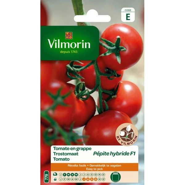 Trostomaat Pépite HF1 1 Trostomaat Pépite HF1