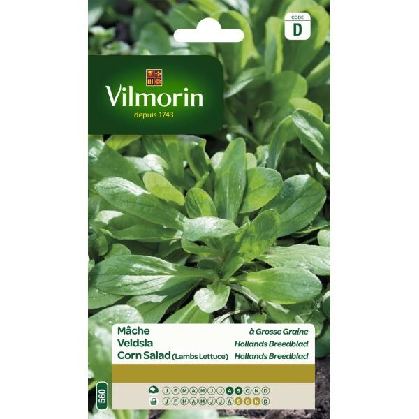 Veldsla Hollands Breedblad 15 G 1 Veldsla Hollands Breedblad 15 G