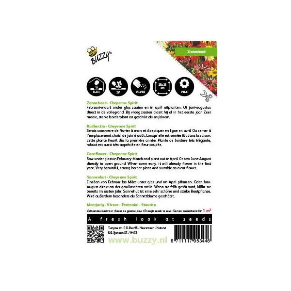 Zonnehoed - Rudbeckia Cheyenne Spirit 2 Zonnehoed - Rudbeckia Cheyenne Spirit - Afbeelding 2